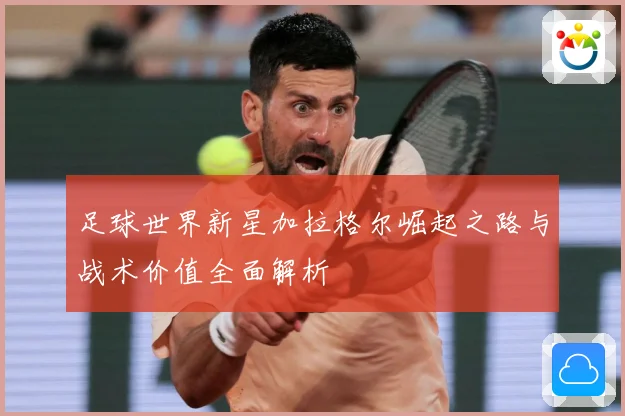 足球世界新星加拉格尔崛起之路与战术价值全面解析